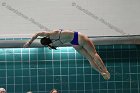 Swimming & Diving vs RWU  Swimming & Diving vs Roger Williams University. - Photo by Keith Nordstrom : Wheaton, Swimming